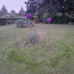 Nature Peace And Coziness Near Forest And Nakskov