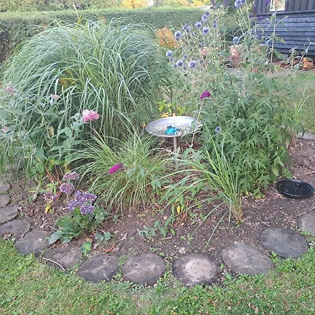 Hébergement de vacances Nature Peace And Coziness Near Forest And *